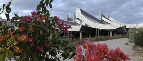 A modern building with a curved roof and a paved walkway.