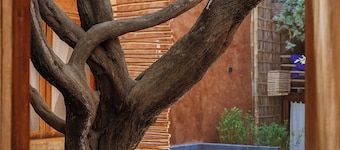 Ecolodge Mancora