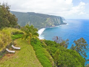 Sun-loungers, beach towels