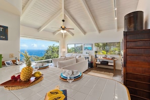 Books, stereo - Tranquil Ocean View Cottage: Your Idyllic Escape at Waipio Valley, Big Island HI (Honokaa)