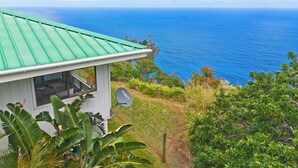 A house with a green roof, a satellite dish, and a view of the ocean. - Tranquil Ocean View Cottage: Your Idyllic Escape at Waipio Valley, Big Island HI (Honokaa)