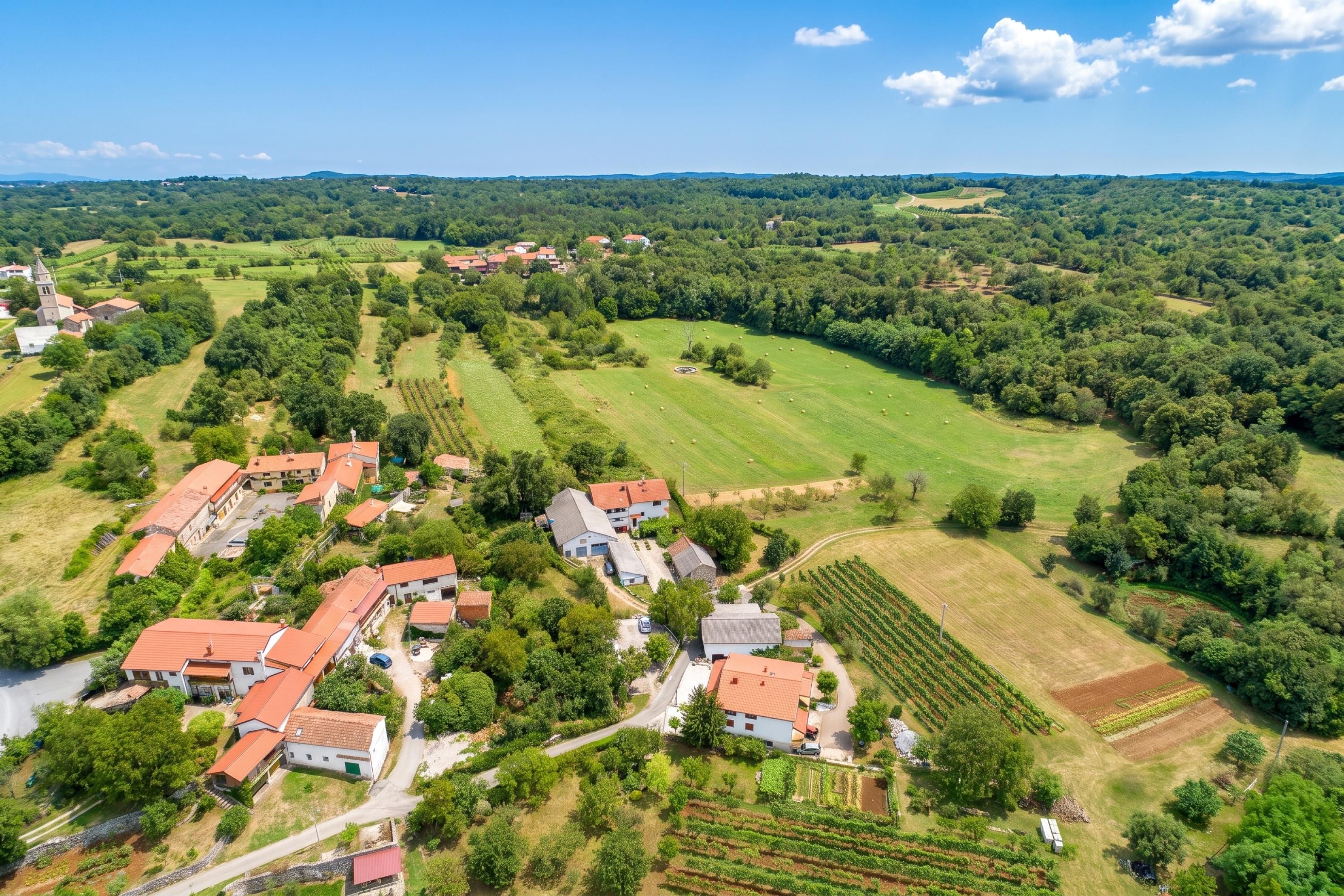 Paesaggio rurale con case, campi e una chiesa.