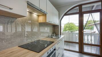 Family Apartment, Multiple Bedrooms (Cesar's Karst Apartment Teran) | Private kitchen | Fridge, oven, stovetop, toaster