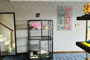 A room with a metal cage containing a dog and a cat, a staircase, and a wall with decorative items. - Bonjour Youth Hostel (Shenzhen)