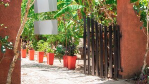 A garden with potted plants and a wooden fence. - Ynot Udawalawa Safari & Resort (Udawalawa)
