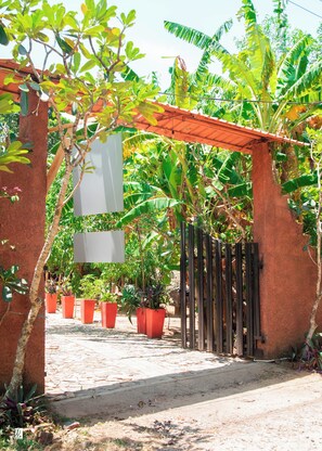 Front of property - Ynot Udawalawa Safari & Resort (Udawalawa)