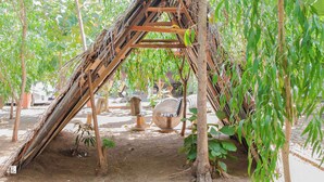 A rustic outdoor structure with a sloped roof, surrounded by trees and plants. - Ynot Udawalawa Safari & Resort (Udawalawa)