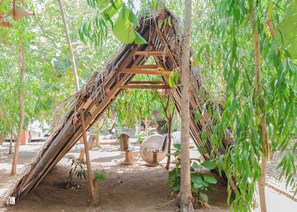 View from property - Ynot Udawalawa Safari & Resort (Udawalawa)