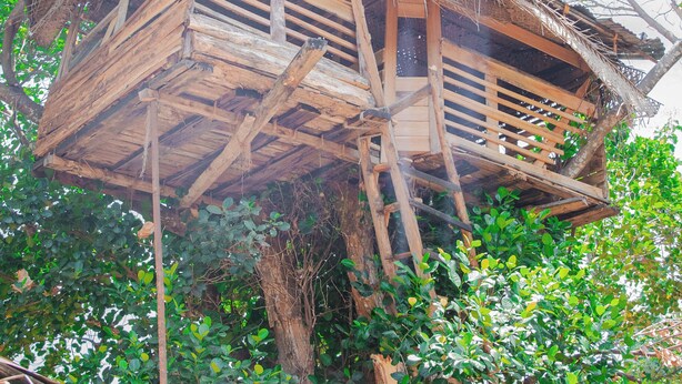 A rustic wooden structure with a thatched roof, surrounded by lush greenery. - Ynot Udawalawa Safari & Resort (Udawalawa)
