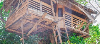 Ynot Udawalawa Safari & Resort