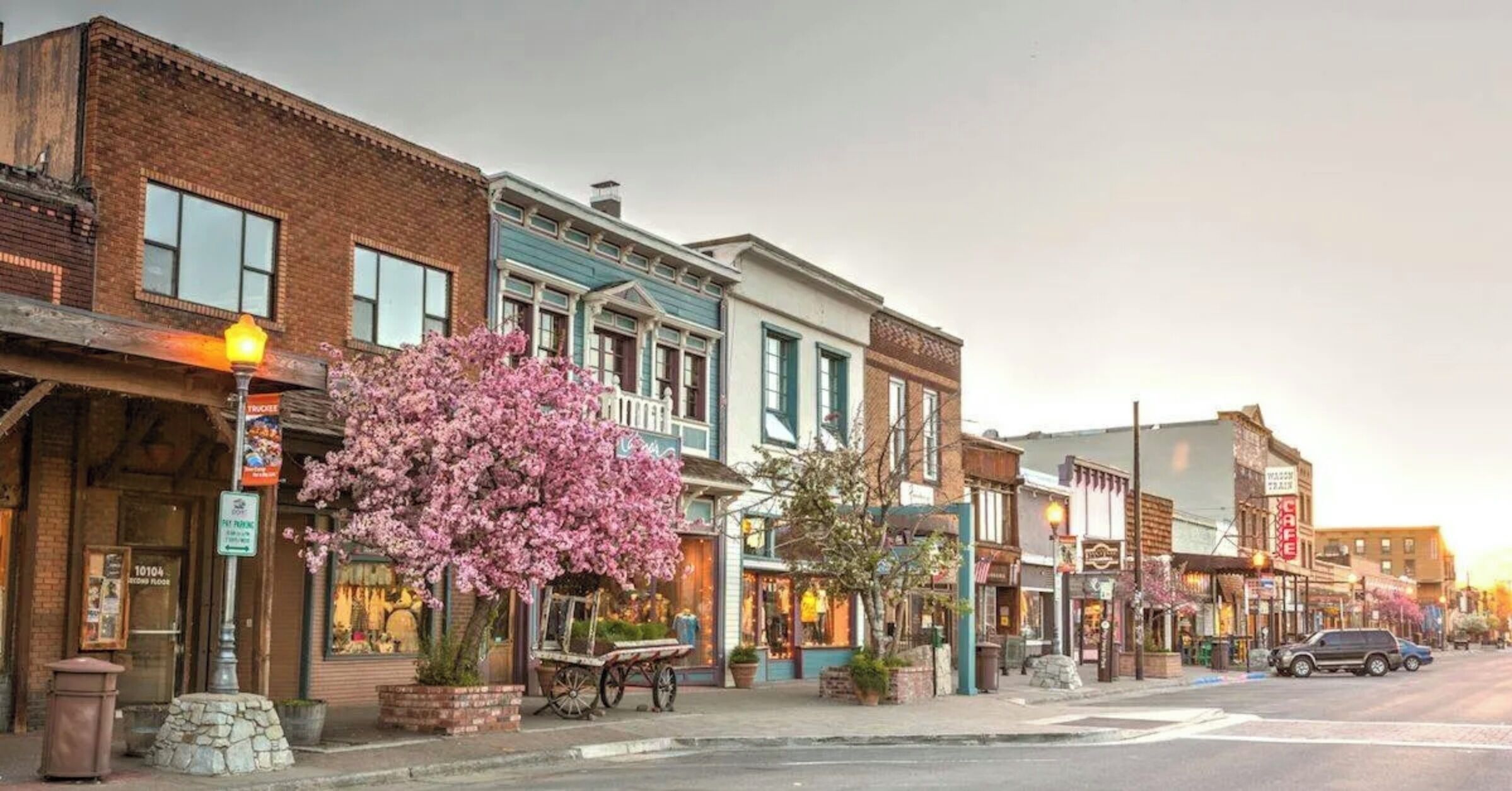A street lined with historic buildings, a street lamp, and a cherry blossom tree.