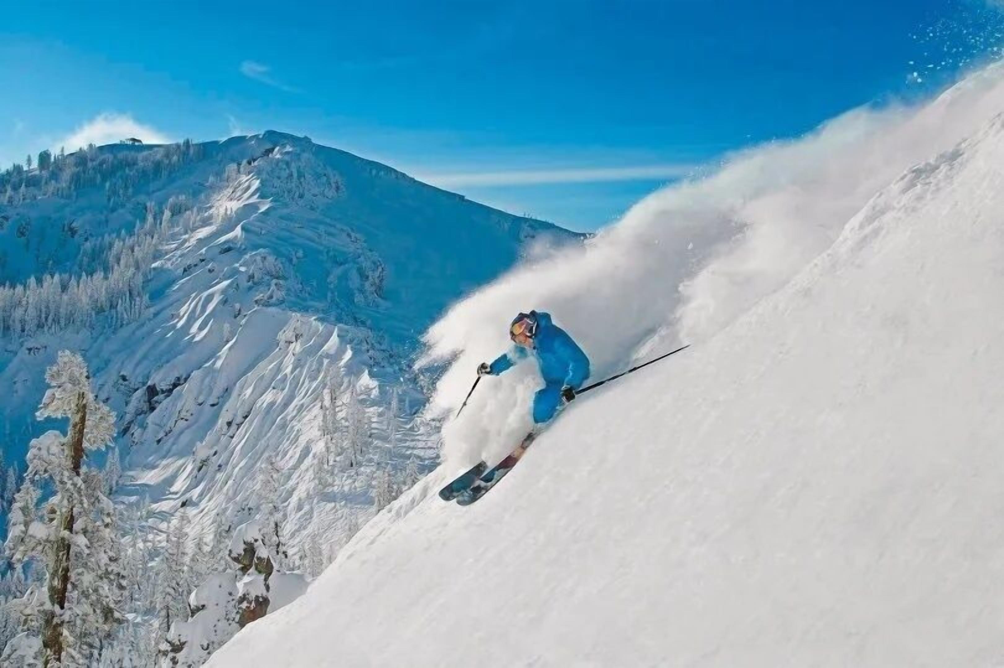 Een skiër op een besneeuwde helling, met een helderblauwe lucht en besneeuwde bomen op de achtergrond.
