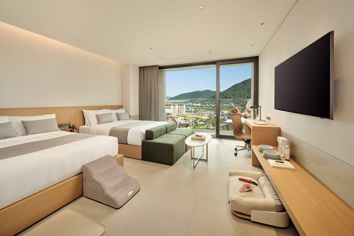A hotel room with a large bed, a sofa, a desk, and a TV.