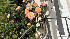 Ein Garten mit blühenden Rosen vor einem Gebäude, das eine weiße Tür und ein schwarzes Geländer hat.