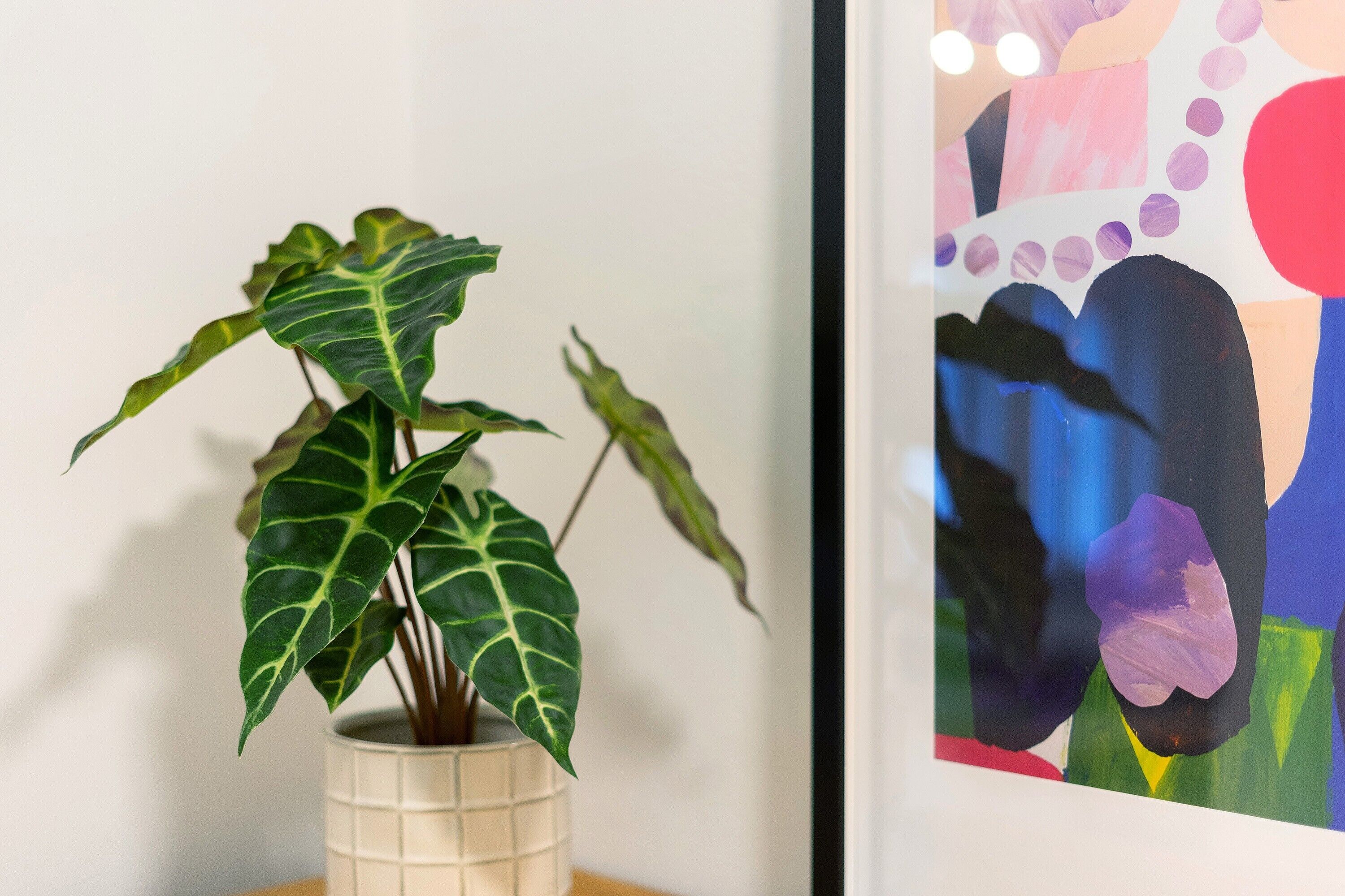 Ein Blumentopf mit breiten Blättern, ein gerahmtes abstraktes Gemälde und eine weiße Wand.