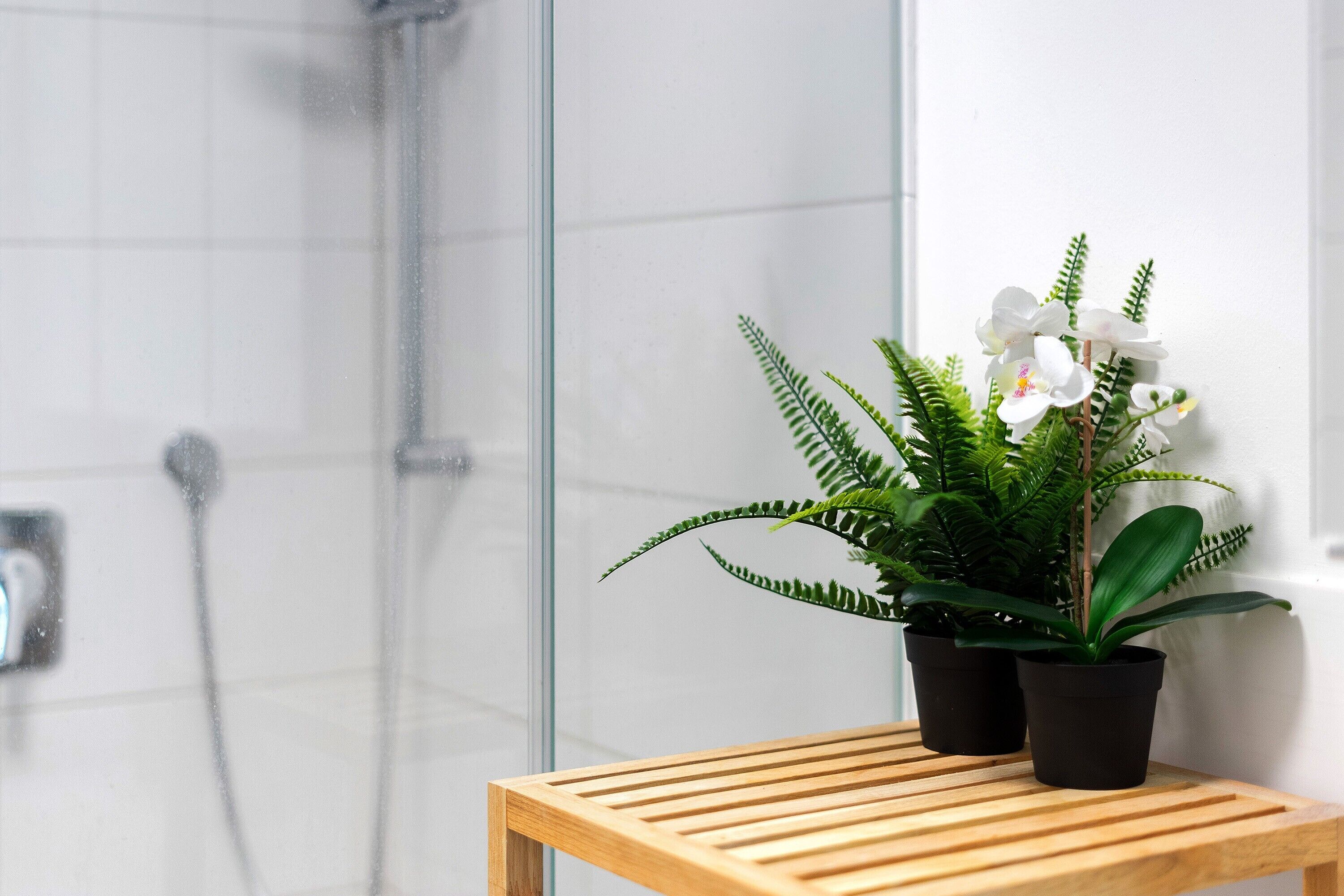 Ducha, artículos de higiene personal gratuitos y secador de pelo