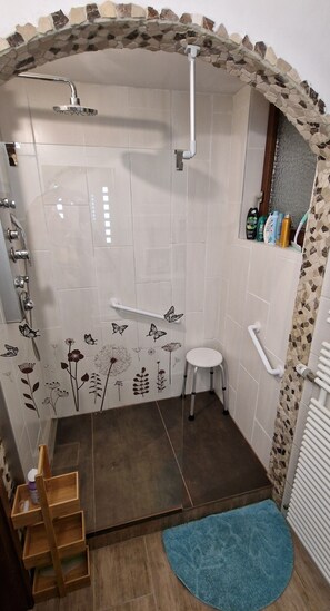 Dusche, Haartrockner, Handtücher