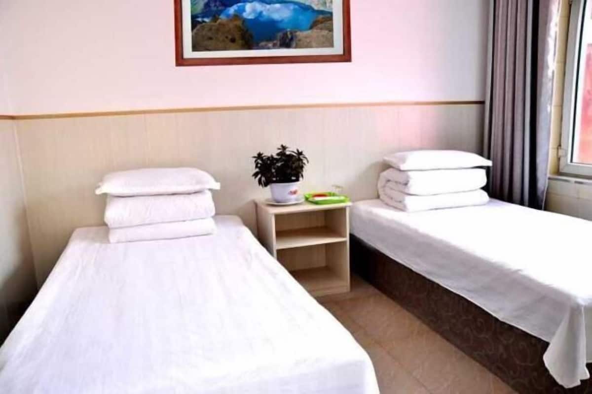 Een hotelkamer met twee enkele bedden, een klein plankje met een plant en een schilderij aan de muur.