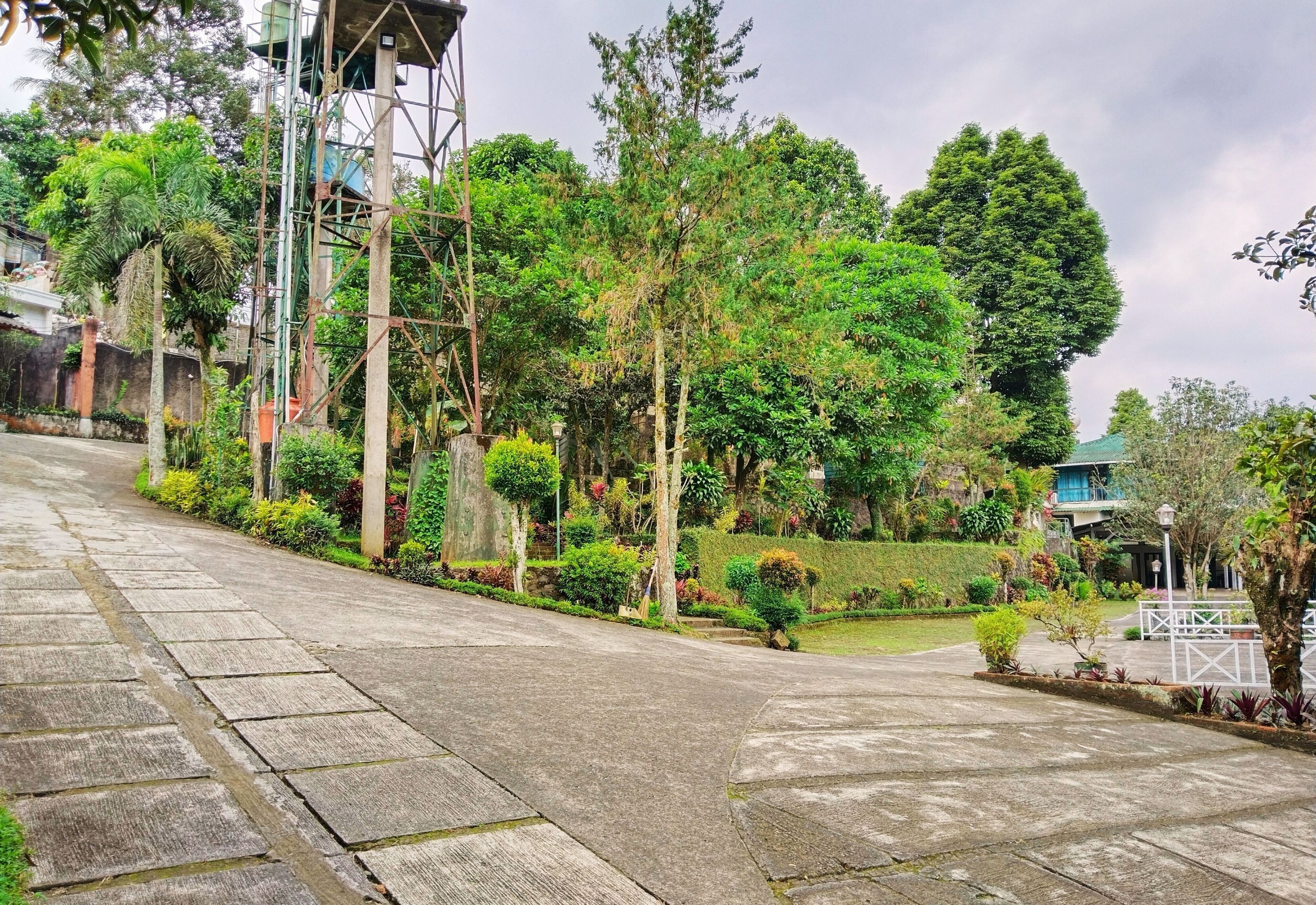 A paved pathway with a stone border, surrounded by lush greenery and trees.