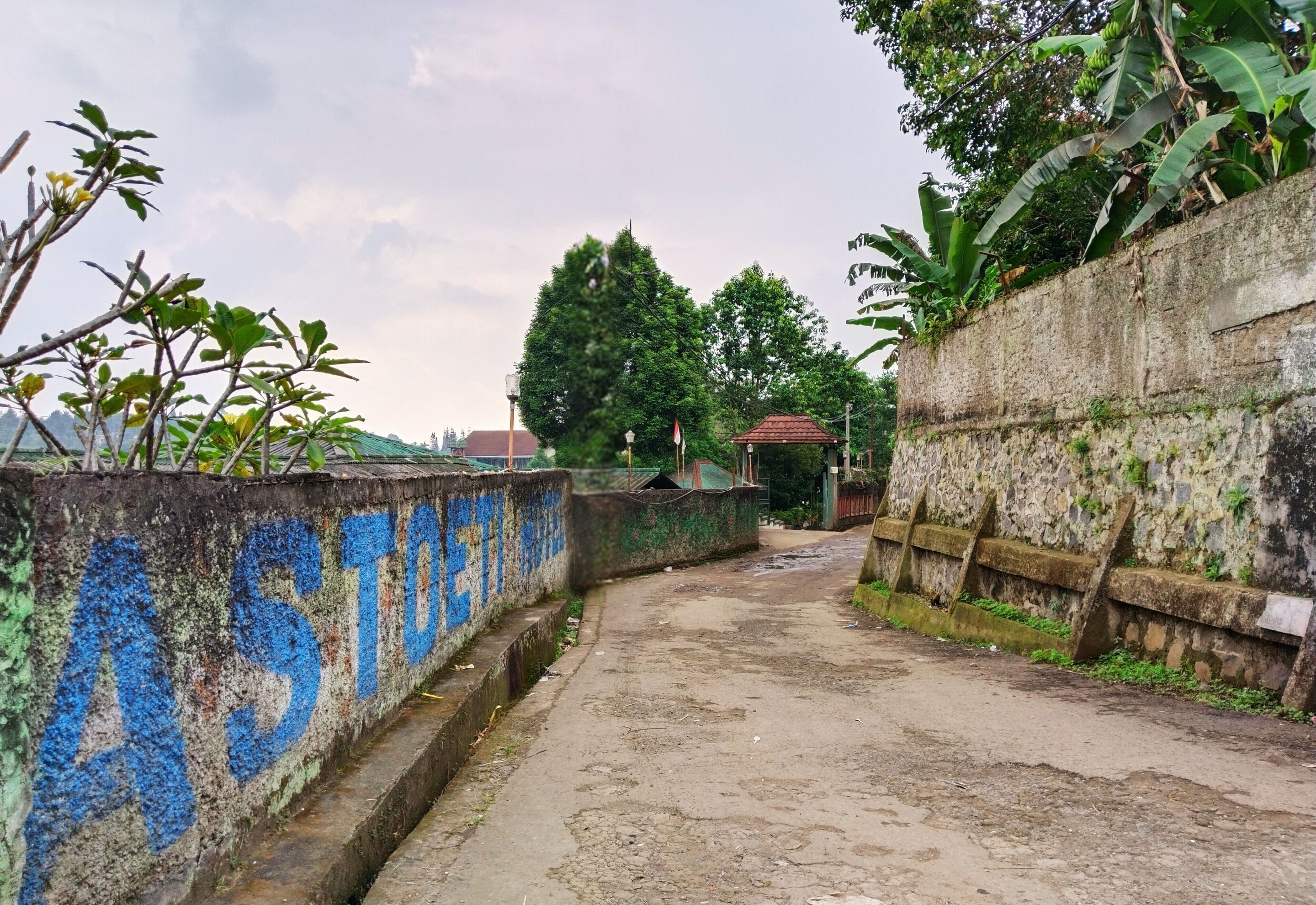 A narrow, unpaved path flanked by walls with graffiti and vegetation.