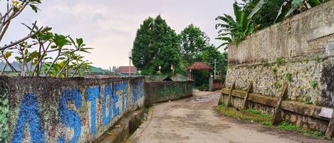 A narrow, unpaved path flanked by walls with graffiti and vegetation.