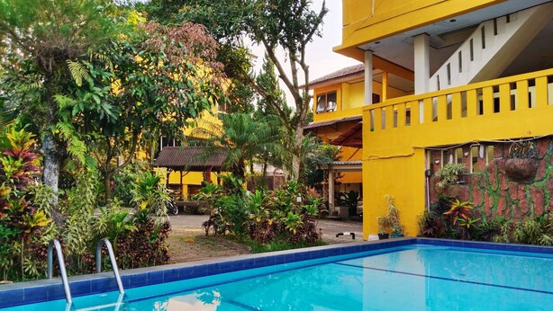 A swimming pool with a blue border, surrounded by lush greenery and a yellow building with a staircase. - Hotel New Sabrina (Cisarua)