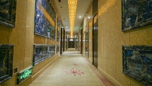 Un pasillo con paredes de mármol, obras de arte enmarcadas y una alfombra estampada.