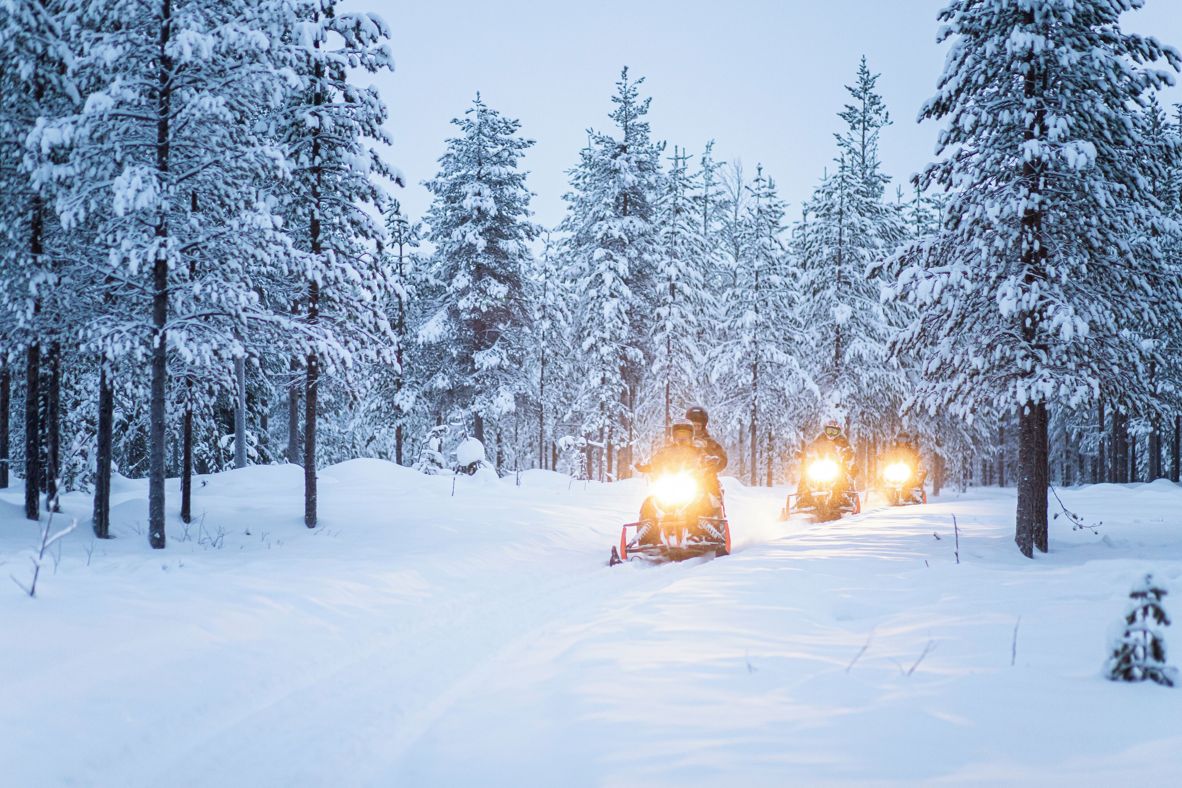 A snow-covered forest with two snowmobiles.