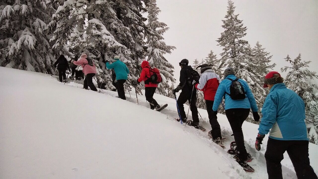 A group of people hiking up a snowy slope with snow-covered trees.