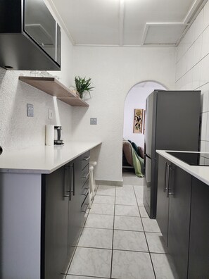 Eine Küche mit Arbeitsplatte, Schränken, einem Kühlschrank und einer Pflanze auf einem Regal.
