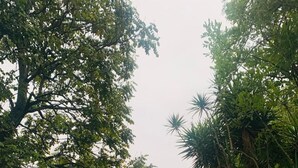 Kamer, 1 slaapkamer, roken, terras | Tuin
