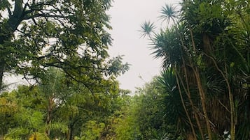 Room, 1 Bedroom, Smoking, Patio | Garden
