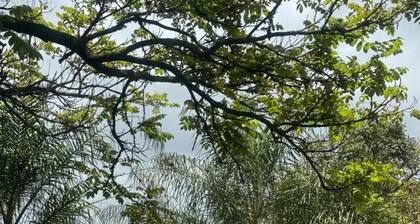 Room-busa House Self-catering Guest Hous