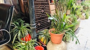 Sınıflandırılmamış resim, 37 üzerinden 2, düğme