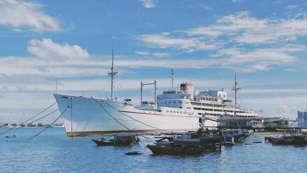 Un gran crucero blanco atracado en una marina, con varias embarcaciones más pequeñas cerca.
