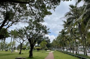 Un sendero bordeado de árboles y palmeras que conduce a una zona pavimentada.
