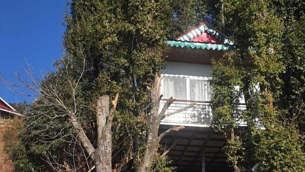 Une maison avec un toit rouge, entourée d’arbres et d’un mur de pierre.