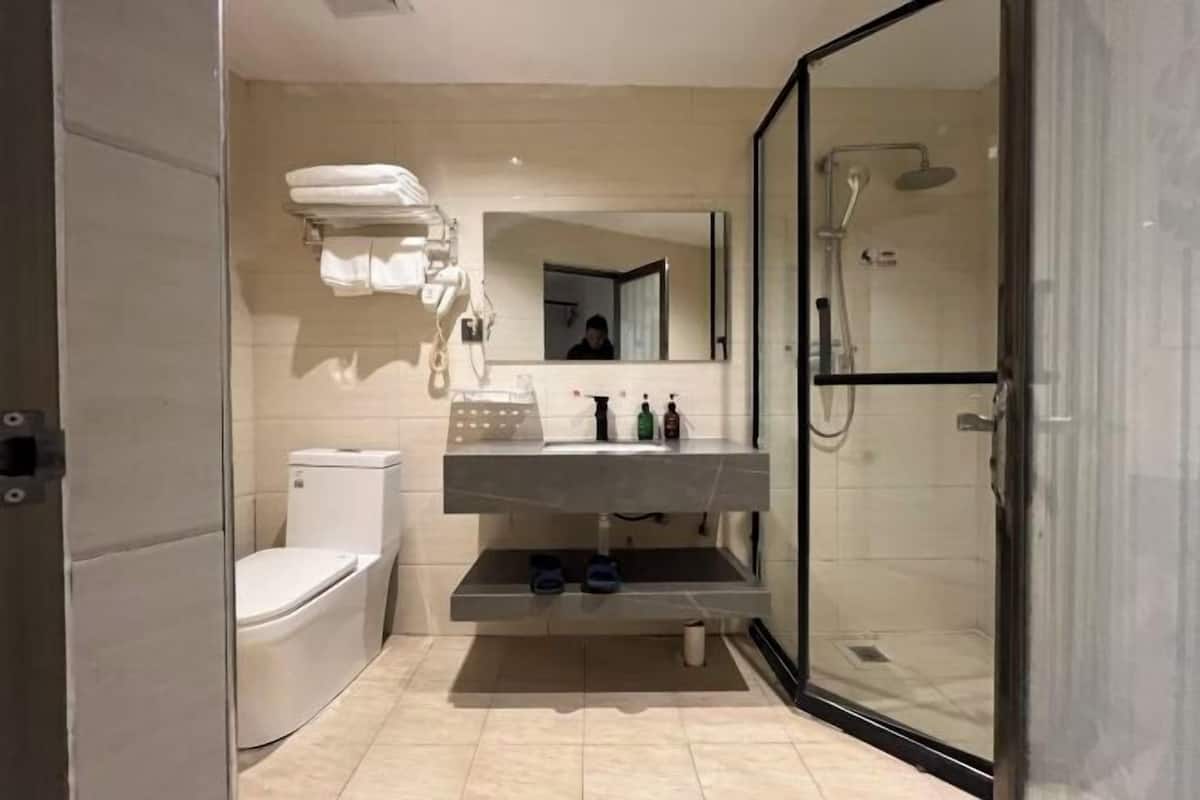 A modern bathroom with a toilet, a sink with a mirror, and a shower area.
