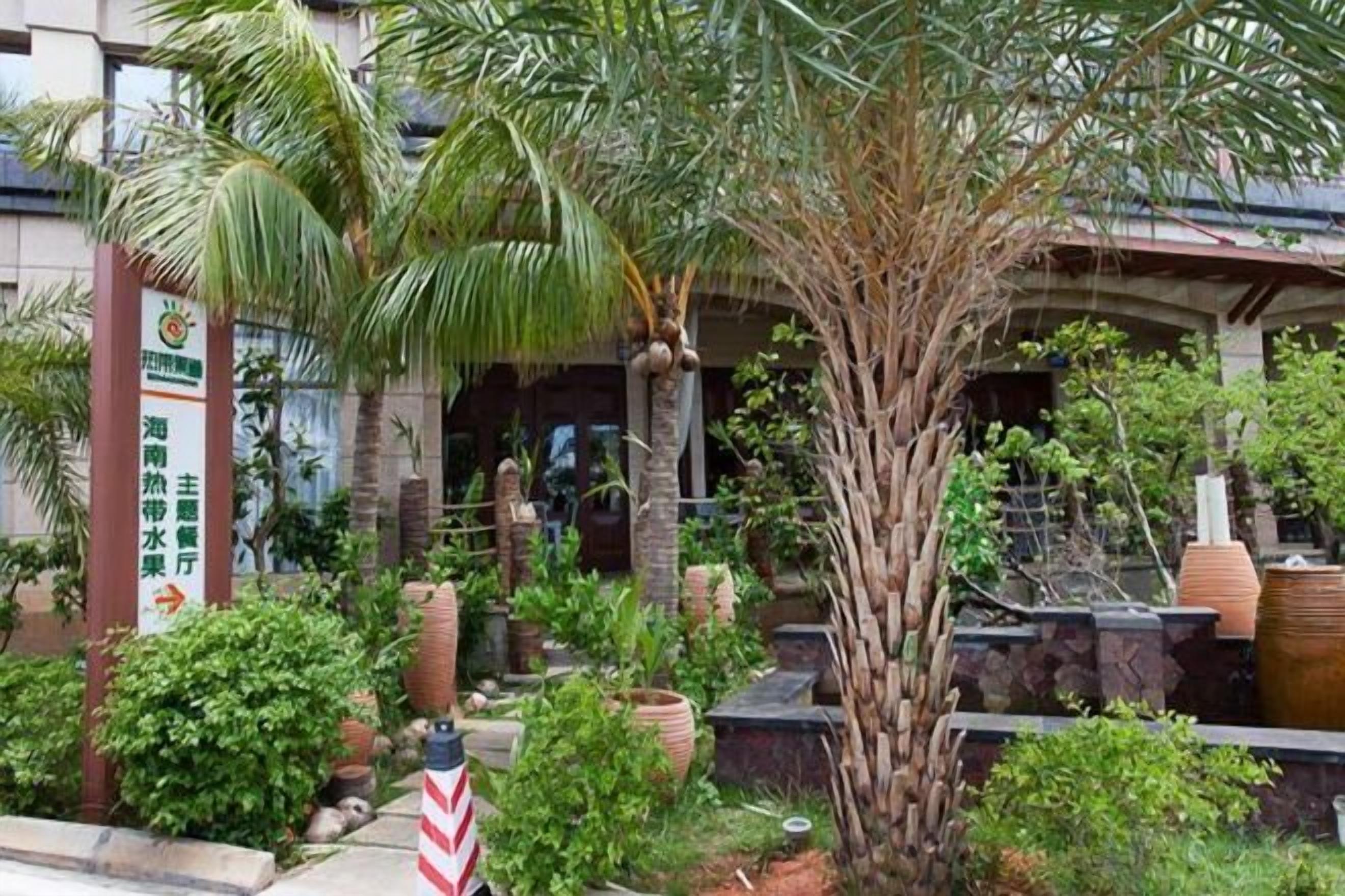 Un cortile alberghiero con palme, piante in vaso e un percorso in pietra.