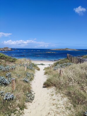 Un sentier sablonneux qui longe la plage et mène à la mer, avec des affleurements rocheux et une végétation clairsemée.
