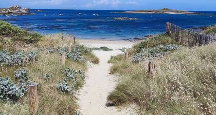 Villa with indoor swimming pool, shops 700 m , beaches 3 km . A little paradise!