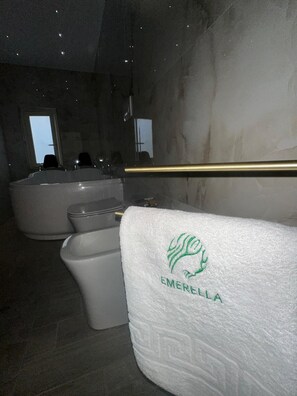 Haartrockner, Bidet, Handtücher, Seife