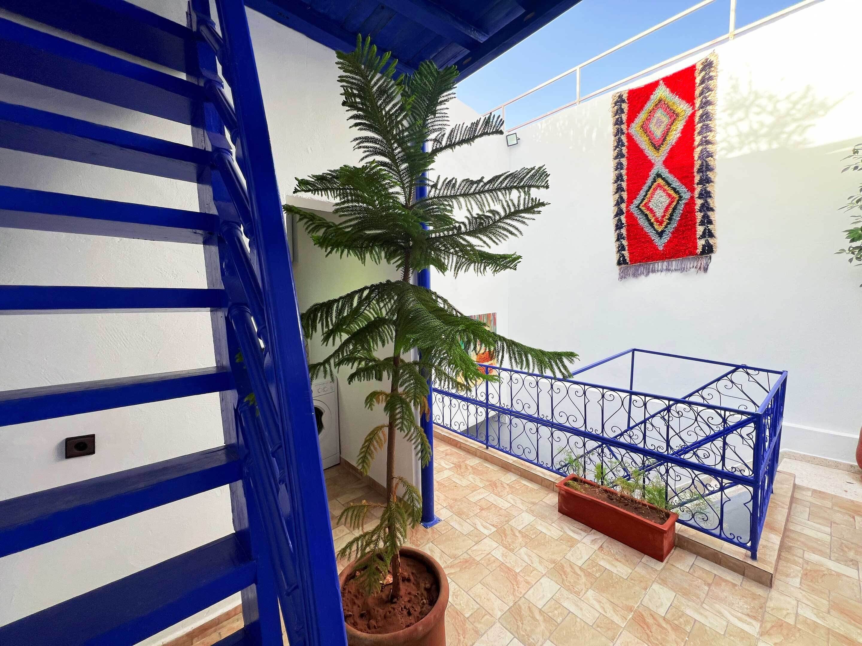 Een trap met blauwe leuningen, een potplant en een rood geweven vloerkleed aan de muur.