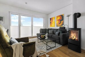 TV, fireplace, stereo - Ocean View 14 - balcony, barbecue, fireplace, shower, elevator, underground parking space (Olpenitz)