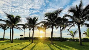 A grassy area with palm trees and a small structure, likely a gazebo, under a clear sky. - The Sea View Cam Ranh (Bac Cam Ranh)