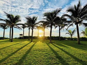 Garden - The Sea View Cam Ranh (Cam Ranh)