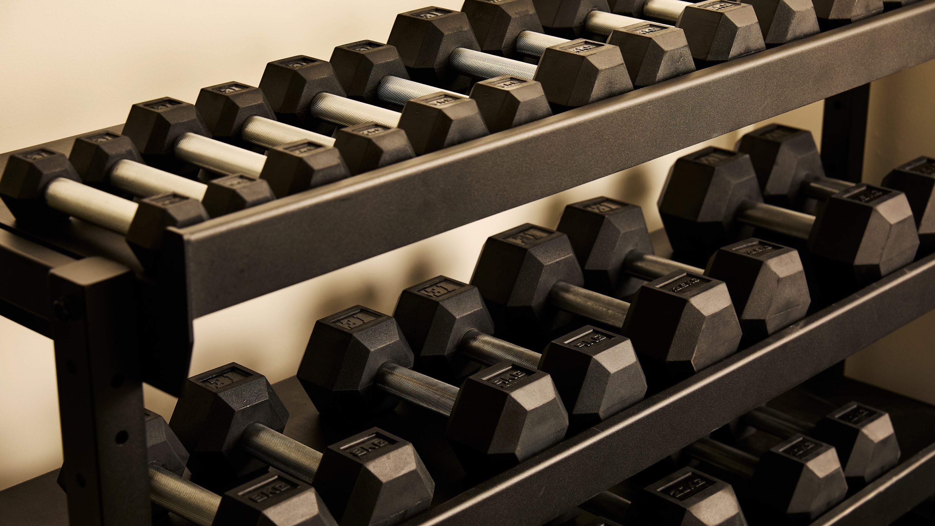 A rack of black dumbbells with weight markings, arranged in two rows on a wall-mounted rack.
