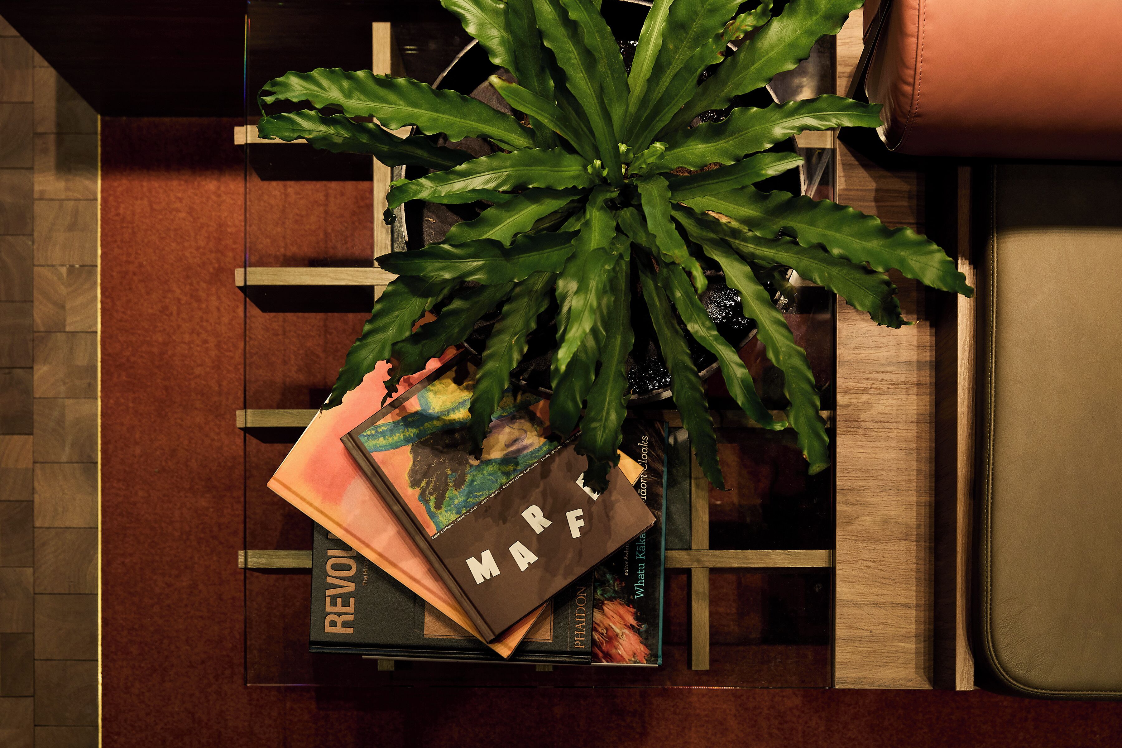 Foto - Hotel Indigo Auckland by IHG