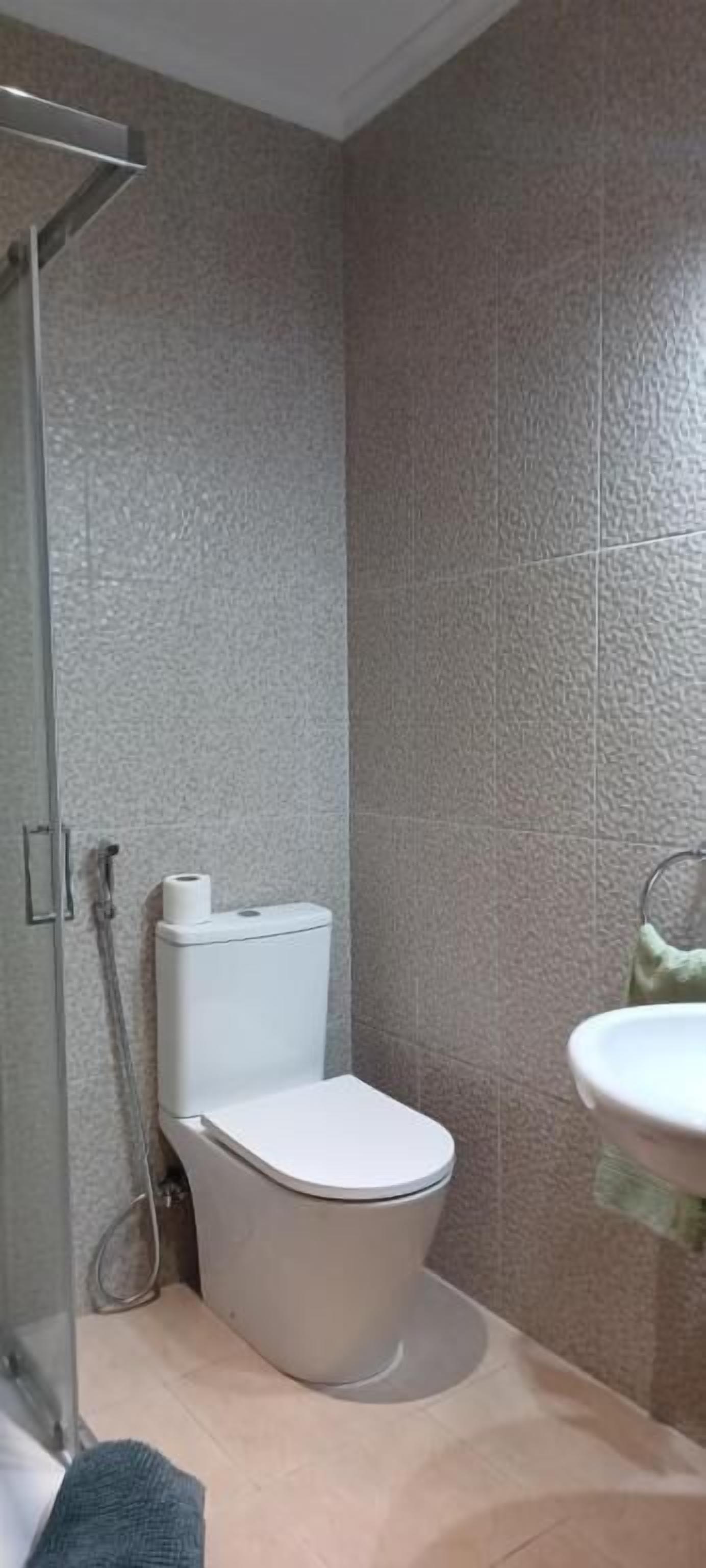 A bathroom with a toilet, shower, and sink.