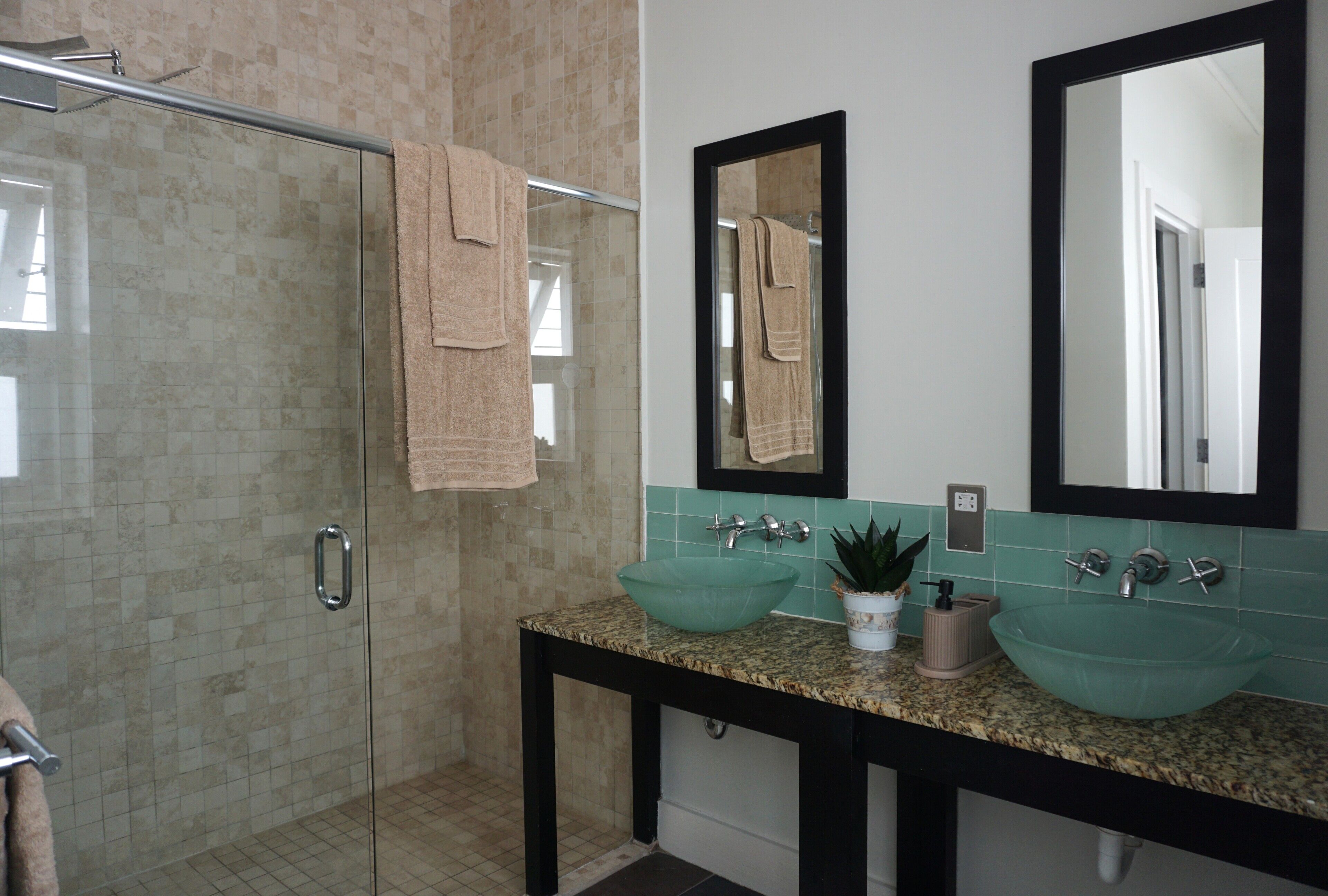 A bathroom with a glass shower enclosure, two sinks with a green bowl, a mirror, and a potted plant.